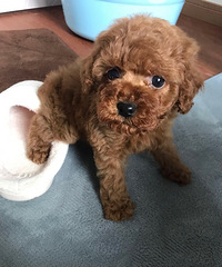 ��̩�Ϻ�����������ĸ 1.16������һ