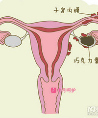 "人流后内膜薄怎么办 子宫内壁薄能怀孕吗"