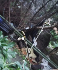 春天是播种的季节