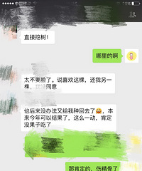"辛辛苦苦从老家移植过来的樱桃树,居然被人连根挖走了!"