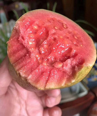 ��ʯ�� �������� �������еĺóԣ�