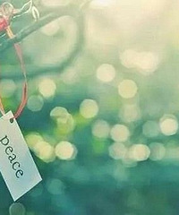 ������û��һ�����Ƿ��ֻ����û�зŶ�λ�ã�