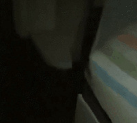 傻眼了!我的婚房居然泡在屎尿中…