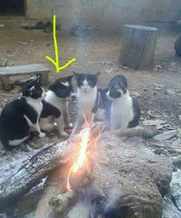 ����ǡ������п�һ��