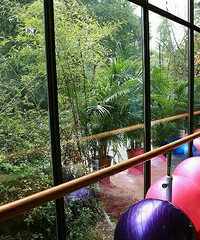 ��Ҫ�������ϵ�����  ��Ҫ���������΢