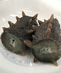 "孕妇适合吃海参进补。"