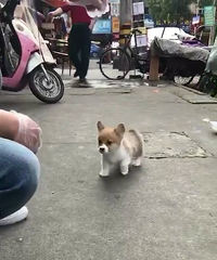 ���ۿ»����� �۸�2000