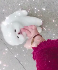 ����3���¾�Ʒ�������� ����ʵ����1000