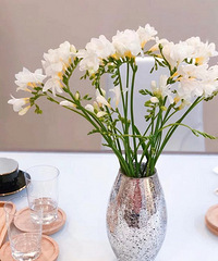 ��������Լ�廨��һ�������ķ羰��