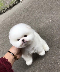 ����3���¾�Ʒ�������� ����ʵ����1000