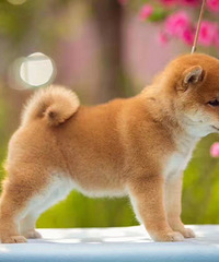 ���� ��Ȯ��һ�ѣ�ϲ������������