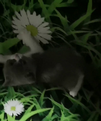 ����������������