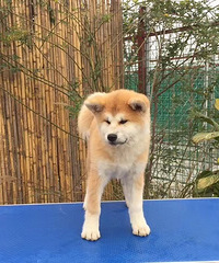 ������˾������Ȯ�ᣬרҵ���������Ȯ��ϲ�����������¹���