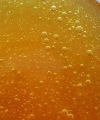 "金福力牌蜂胶告诉你蜂蜜里的泡芙是怎么回事?"