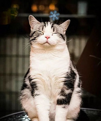 ��Щ��һֱû�л���������л�����ˣ�ȴ��