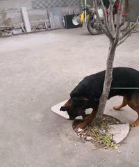 ������ 4�������������������