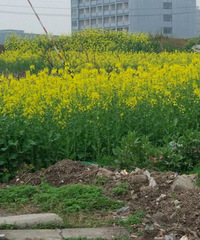 �����ļ���