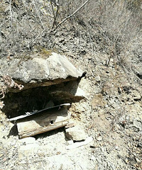 "为什么大城市里蜂蜜需求量那么大,家乡里的土蜂蜜反而卖不出去了