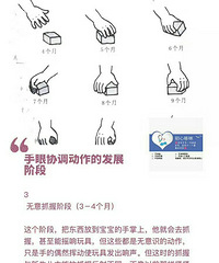 宝宝手眼协调动作的发展
