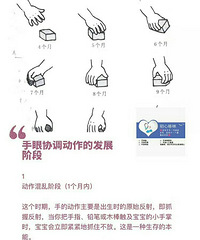 宝宝手眼协调动作的发展