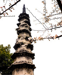 只知道这个网红公园有火车,没想到春日还有如此美景!