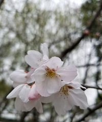 �Ϻ�����������һȦ