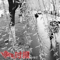 "本周天气先雨后晴 “春捂”正是时候 这还不是“倒春寒”"