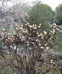 ����������?