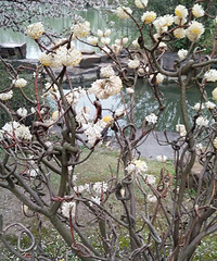 ����������?