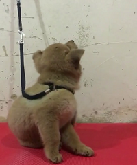 С������ĸ�������У����Һ��֣����������