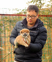 �����Ȯ��ϲ�����������¹���