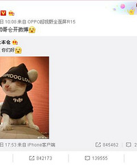 杨幂养的猫居然出道拍广告了 瞬间涨好几万粉丝!