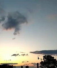 ������Ĳ�����Ӯ�ˣ������������ڹ�͡������ˣ����˻�������