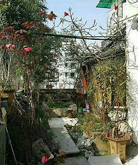 "纯东南亚风格 价格合理 拎包入住"