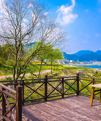 "呵呵,中国十大任性油菜花基地大家来鉴定一下。。。。。。。"