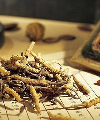 "治疗骨质增生的偏方"