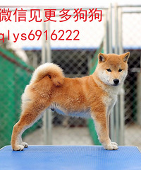 Ϊʲô�����˻�һ�����������������Ͳ�Ȯ��