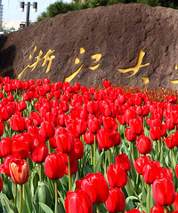 嫉妒啊,别人家的大学!