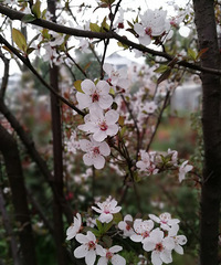 ��ů����