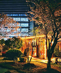 ͬ�ô�ѧ��ӣ������