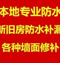"专业本地防水补漏15306530062"