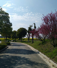 ����ǩ��