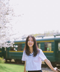 笑靥如樱花