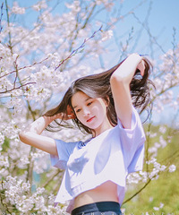 笑靥如樱花