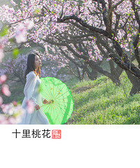 十里桃花