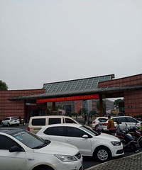 �������Ĵ�ɫ��+ͬ�ô�ѧ�㽭ѧԺ��ӣ��?