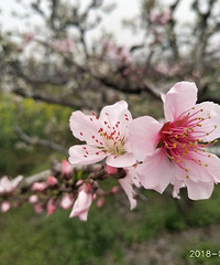 �������Ĵ�ɫ���һ��������һ�