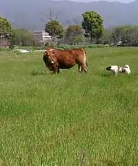 2������ģ��¸����صġ�������