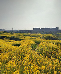 ������������ڼ��������ĵط�