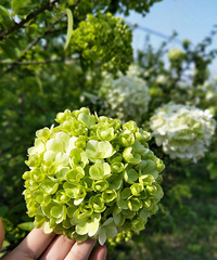 �����ú��ʺϳ�ȥ����